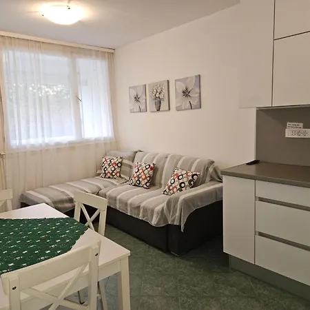 Duje I Luka Apartment Split